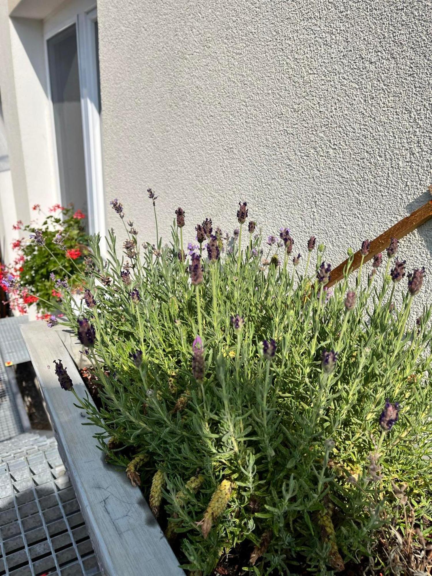 P&P APARTMÁNY Bojnice Exterior foto